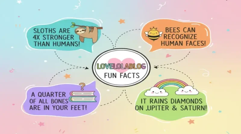 Lovelolablog Fun Facts: Exploring the Brighter Side of Everyday Life